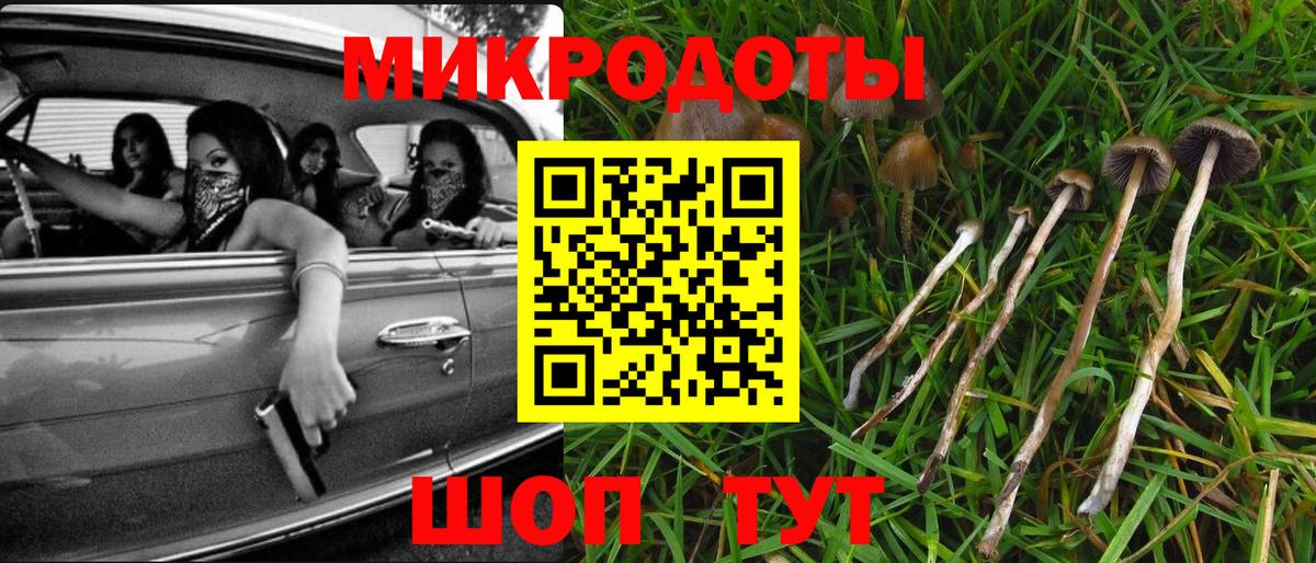 Псилоцибиновые грибы ЛСД Пушкино