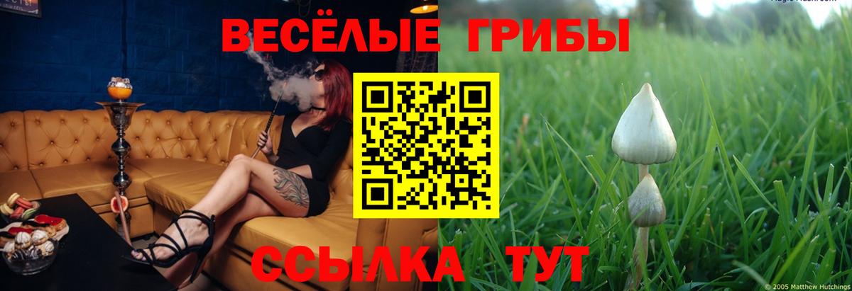 Пушкино  Галлюциногенные грибы мицелий  Вход с VPN  Галлюциногенные грибы прущие грибы 